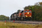 BNSF 7448, 4058, NREX 2694, 2654, 2685, 2698, 2669